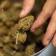 Illustration for article titled Colorado dispensaries are recommending weed to pregnant women